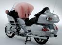 Gold Wing airbag.jpg