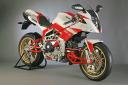 bimota tesi.jpg